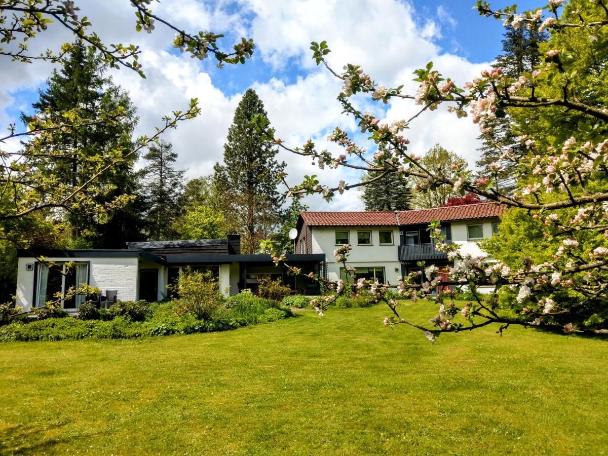 Homestay Haus Am Park