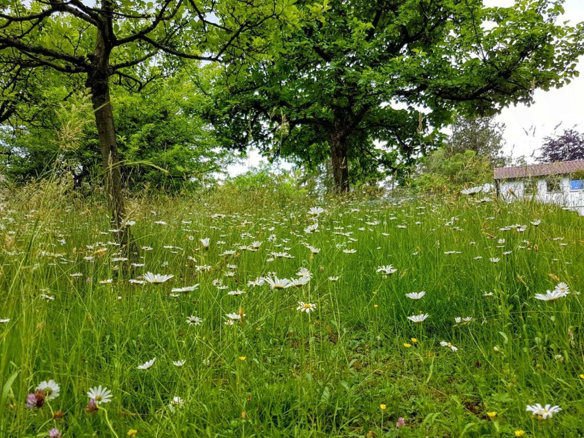 Haus Am Park Homestay Stadtallendorf