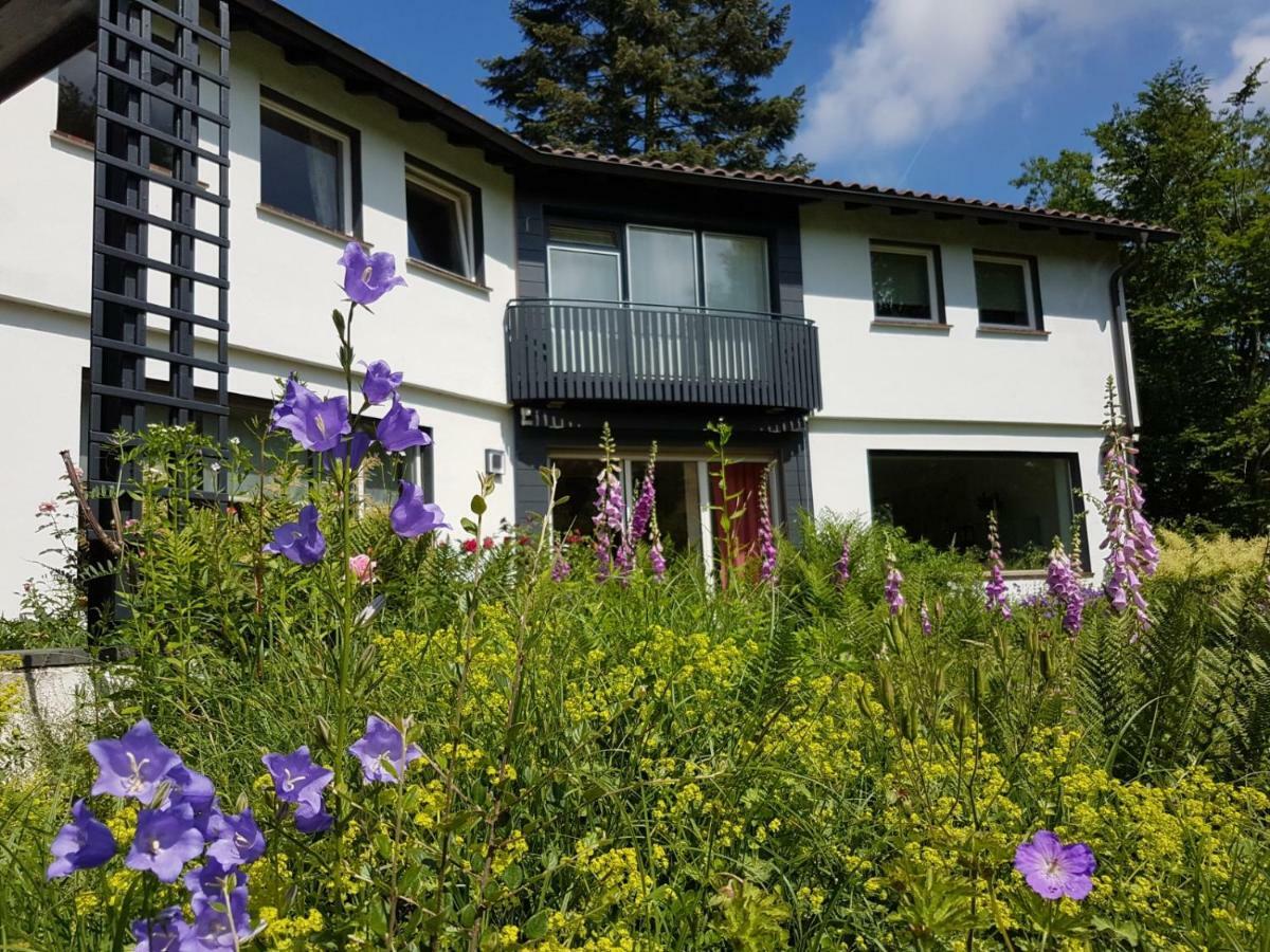 Homestay Haus Am Park Stadtallendorf