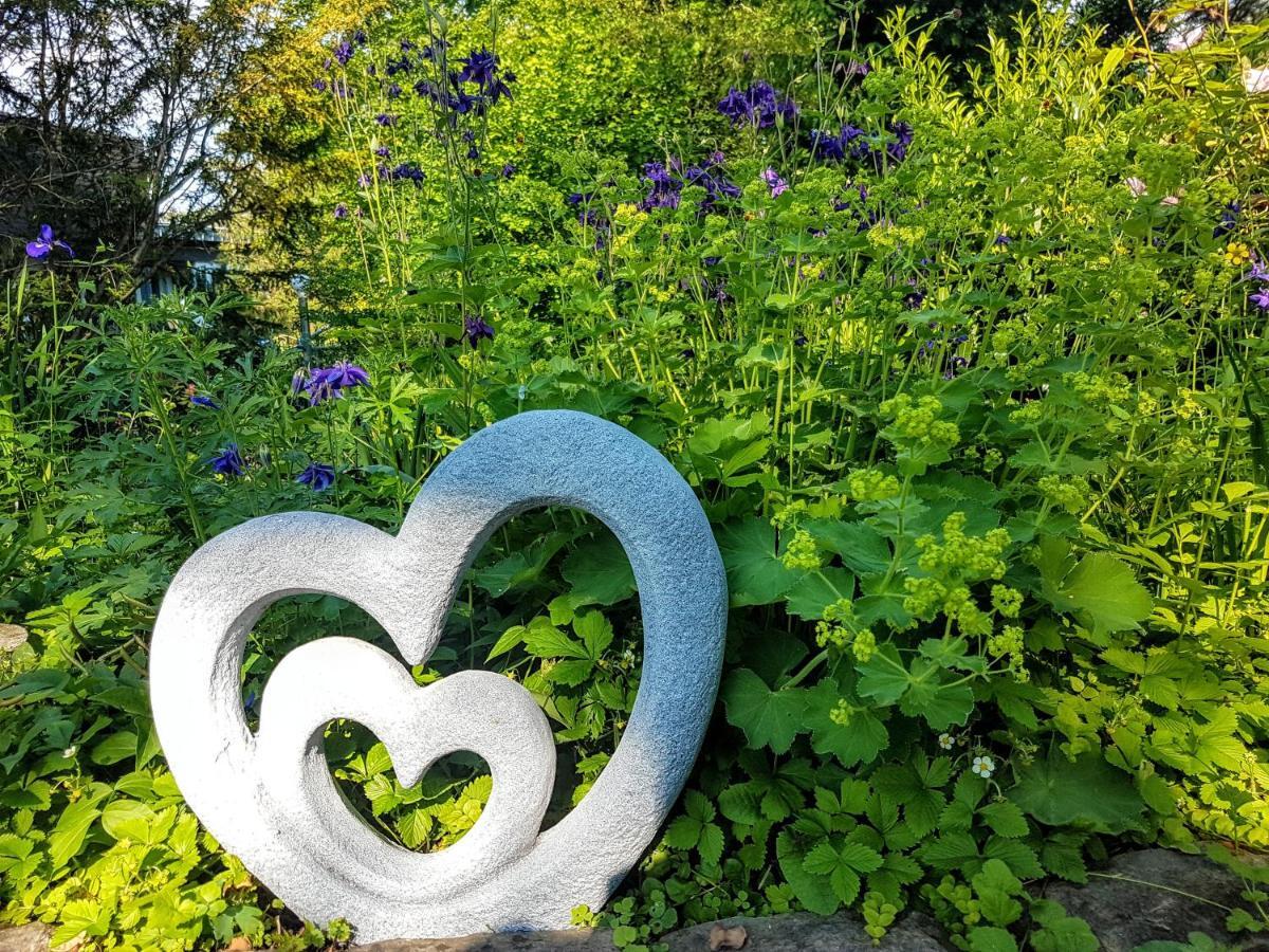 Haus Am Park Homestay Stadtallendorf