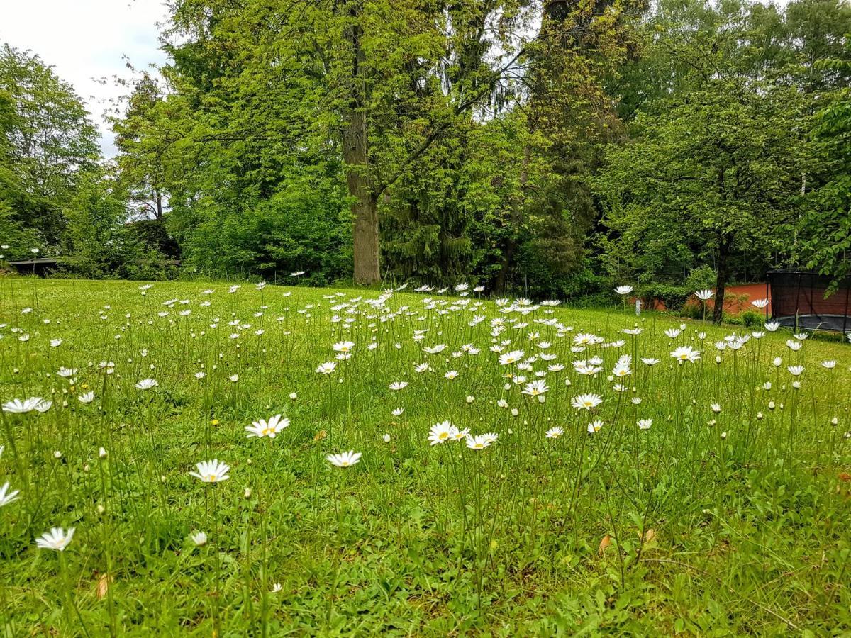 Haus Am Park Homestay *
